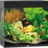 Juwel Aquarium Lido 120 LED Zwart
