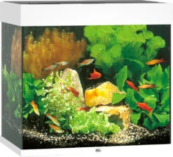 Juwel Aquarium Lido 120 LED Wit