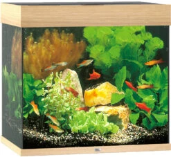 Juwel Aquarium Lido 120 LED Licht Eiken