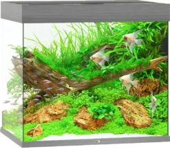 Juwel Aquarium Lido 200 LED Met Filter Grijs