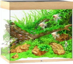 Juwel Aquarium Lido 200 LED Licht Eiken