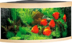 Juwel Aquarium Trigon 350 LED Licht Eiken