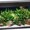 Juwel Aquarium Primo 110 Zwart