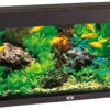 Juwel Aquarium Rio 240 LED Zwart