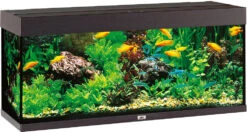 Juwel Aquarium Rio 240 LED Zwart