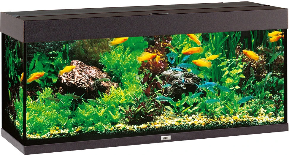 Juwel Aquarium Rio 240 LED Zwart