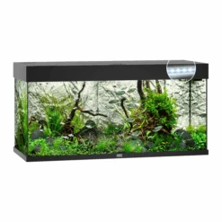 Juwel Aquarium Rio 180 Led 101x41x50 Cm - Aquaria - Zwart Ca. 180 L