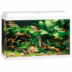 Juwel Aquarium Primo 70 61x31x44 Cm - Aquaria - Wit Ca. 70 L