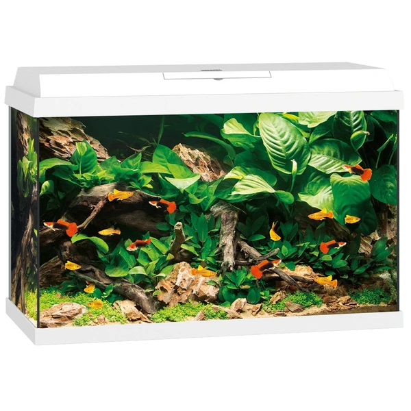 Juwel Aquarium Primo 70 61x31x44 Cm - Aquaria - Wit Ca. 70 L