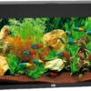 Juwel Aquarium Rio 180 LED Zwart
