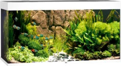 Juwel Aquarium Rio 350 LED Wit