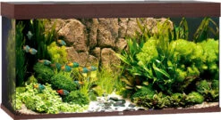 Juwel Aquarium Rio 350 LED Donkerbruin