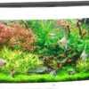 Juwel Aquarium Vision 180 LED Wit