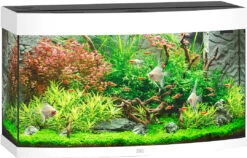 Juwel Aquarium Vision 180 LED Wit