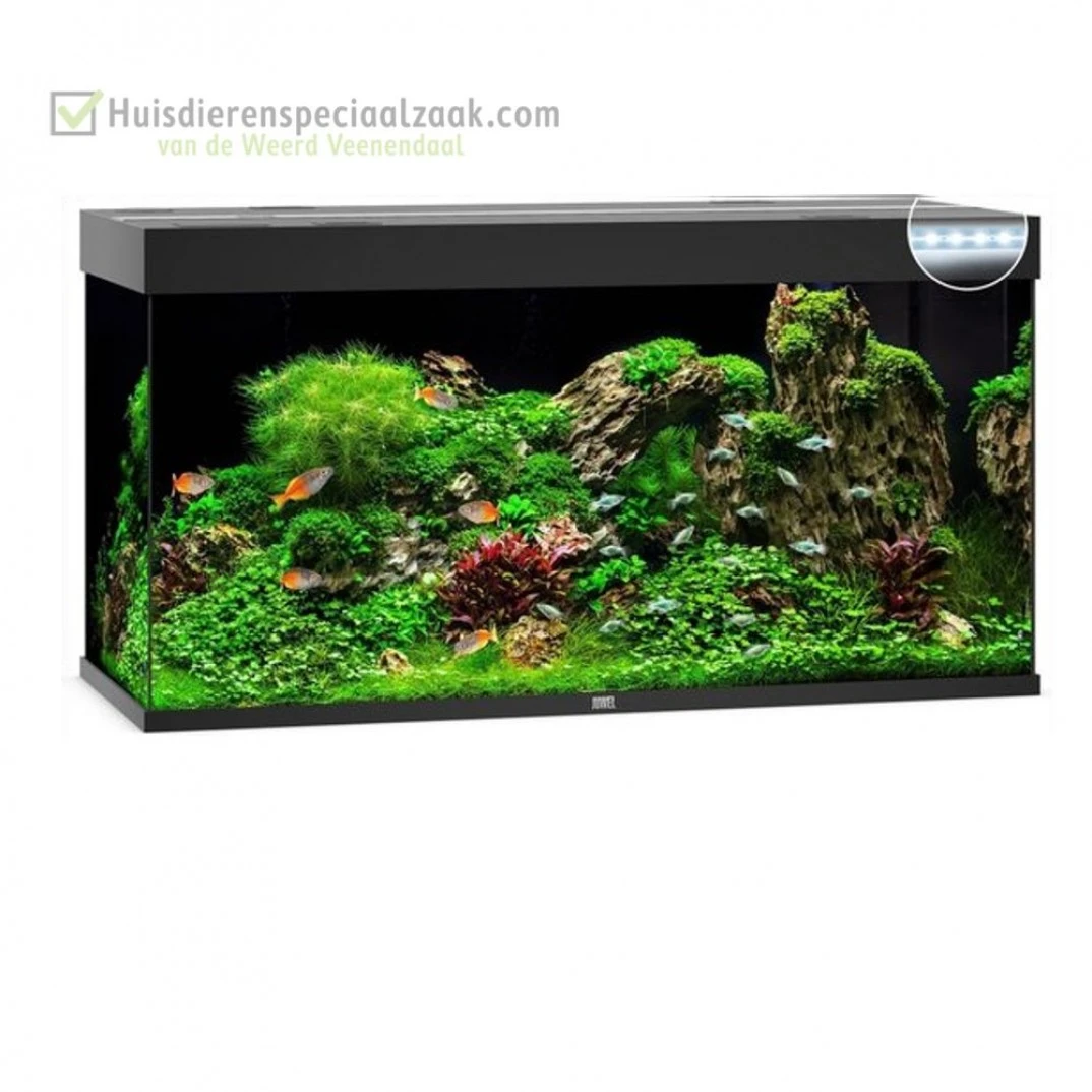 Juwel Rio 350 LED Zwart - Afbeelding 4