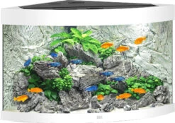 Juwel Juwel Aquarium Trigon 190 LED Met Filter, Wit.