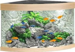 Juwel Juwel Aquarium Trigon 190 LED Met Filter, Licht Eiken.