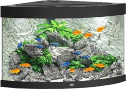 Juwel Juwel Aquarium Trigon 190 LED Met Filter, Zwart.