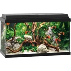 Juwel Aquarium Primo 60 | Worldofanimals.nl Heeft Het!