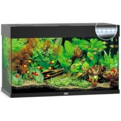 Juwel Aquarium Rio 125 Led | Worldofanimals.nl Heeft Het!