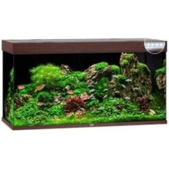 Juwel Aquarium Rio 350 Led | Worldofanimals.nl Heeft Het!