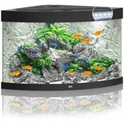 Juwel Aquarium Trigon 190 Led | Worldofanimals.nl Heeft Het!