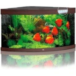 Juwel Aquarium Trigon 350 Led | Worldofanimals.nl Heeft Het!