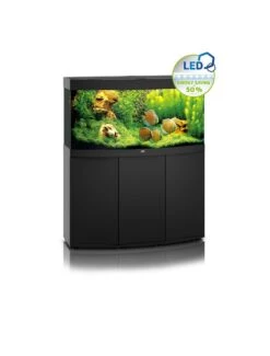 Juwel Aquarium Vision 260 Led | Worldofanimals.nl Heeft Het!