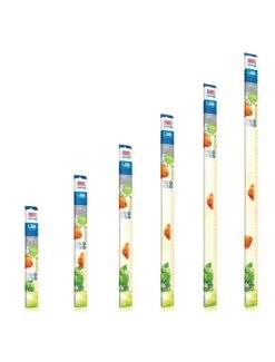 Juwel Led Lamp Nature 29w | Worldofanimals.nl Heeft Het!